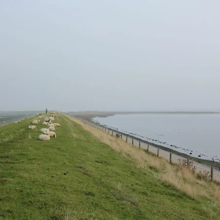 On Texel With Garden Сasa de vacaciones Westermient
