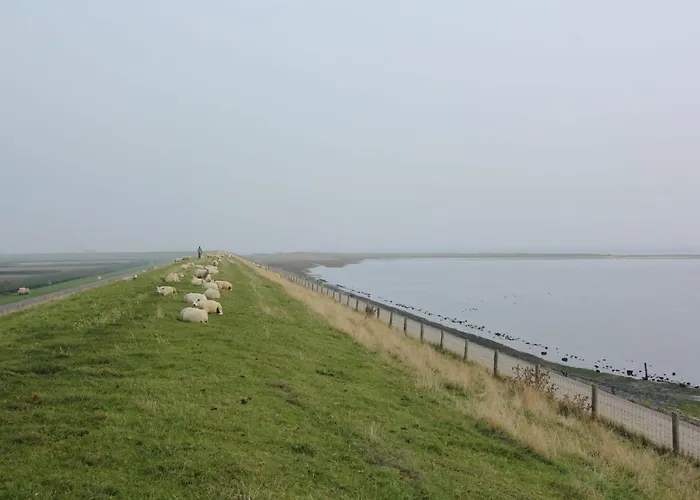 In Texel Near National Park Semesterbostad Westermient