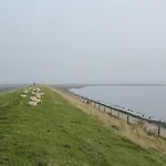In Texel Near National Park Holiday home Westermient